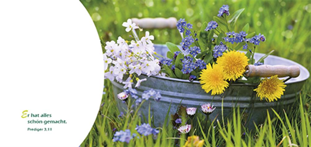 Glück Und Segen Zum Geburtstag