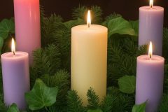 89a43b65-fbcb-4430-9ba4-064cf9eafff3