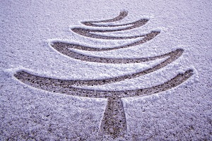 Tannenbaum im Schnee