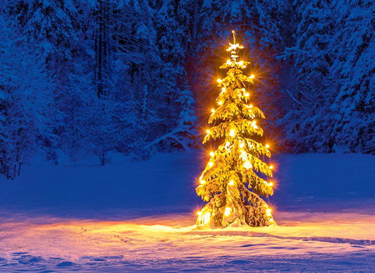 Weihnachtsbaum vorm Hamburger Michel
