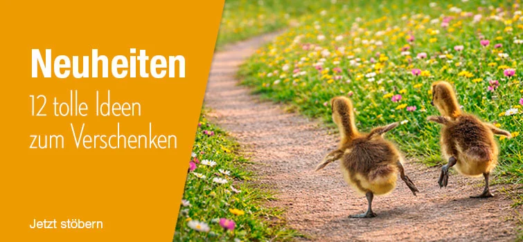 Neuheiten: 12 tolle Ideen zum Verschenken