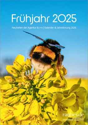 Frühjahr 2025