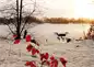 Preview: Alster-Karte Nr. 3: Weihnachtssegen Preview: Alster-Karte Nr. 3: Weihnachtssegen
