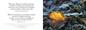 Preview: Ewigkeitskarte 2 mit Text (10 St.) Preview: Ewigkeitskarte 2 mit Text (10 St.)