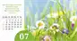 Preview: Gottes Wunder 2024