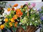 Preview: Karte Blumenkorb (940) Preview: Karte Blumenkorb (940)