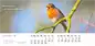 Preview: Liedkalender 2024