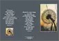 Preview: PC-Ewigkeitskarte (10 St.) Fotomotiv Pusteblume