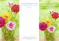 Preview: PC-Karte Herzliche Segenswünsche zum Geburtstag (10 St.) Motiv: Blumenstrauß