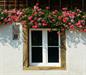 Preview: Wildbienen-Hotel mit Bibelspruch Preview: Wildbienen-Hotel mit Bibelspruch