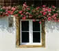 Preview: Wildbienen-Hotel mit Bibelspruch Preview: Wildbienen-Hotel mit Bibelspruch