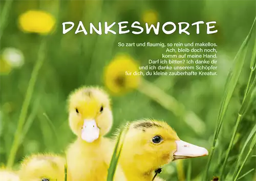 Achtsamkeit 2024