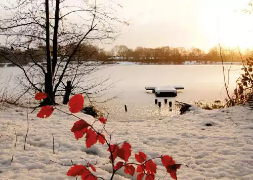Alster-Karte Nr. 3: Weihnachtssegen
