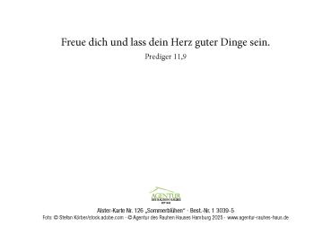 Preview: Alster-Karte Nr.126: Sommerblühen