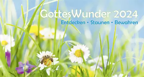 Gottes Wunder 2024