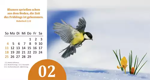 Gottes Wunder 2024
