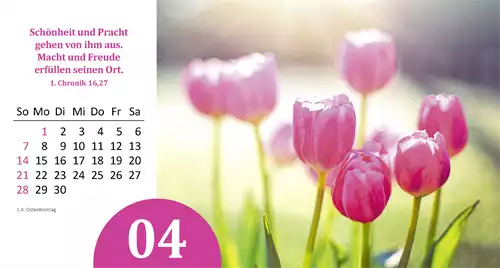 Gottes Wunder 2024
