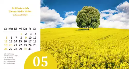 Gottes Wunder 2024