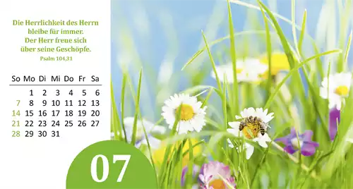 Gottes Wunder 2024