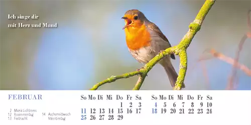 Liedkalender 2024
