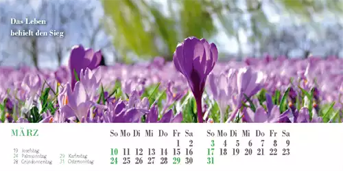 Liedkalender 2024