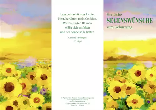 PC-Karte Herzliche Segenswünsche zum Geburtstag (10 St.), Kunst Sonnenblumen
