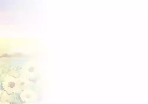 PC-Karte Herzliche Segenswünsche zum Geburtstag (10 St.), Kunst Sonnenblumen