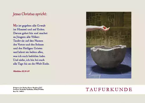 PC-Taufurkunde für Erwachsene (10 St.) Motiv Taufbecken