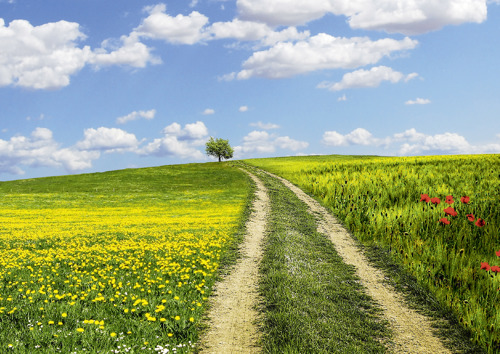 Preview: Alster-Karte Nr. 107 Psalm 37,5