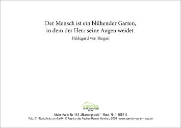 Preview: Alster-Karte Nr. 142 Blumenpracht