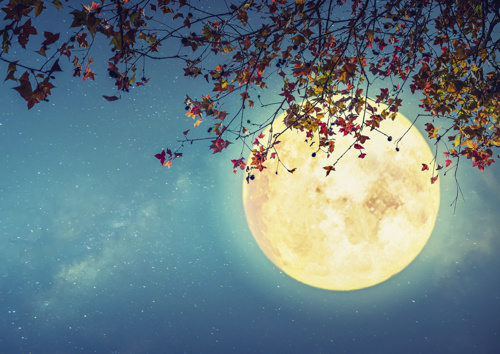 Preview: Alster-Karte Nr. 144: Mond