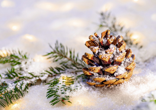 Preview: Alster-Karte Nr. 148: Weihnachtszeit