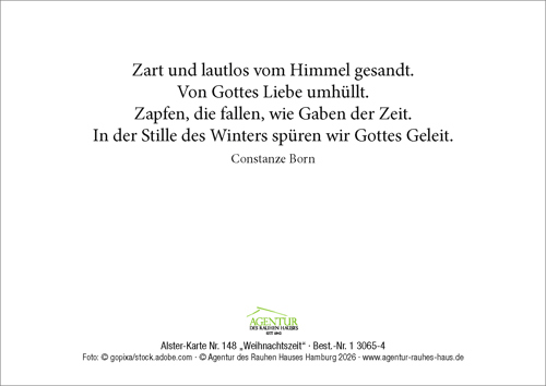 Preview: Alster-Karte Nr. 148: Weihnachtszeit