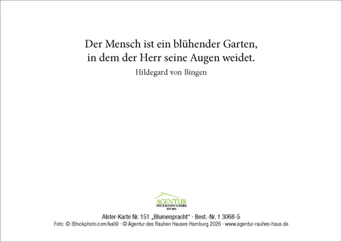 Alster-Karte Nr. 151: Blumenpracht mit Texteindruck
