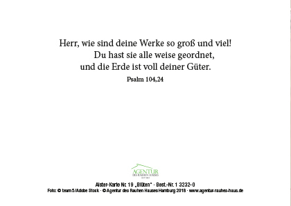 Preview: Alster-Karte Nr. 19: Blüten Psalm 104,24