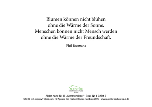 Preview: Alster-Karte Nr. 46: Sommerwiese mit Texteindruck