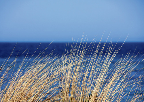 Preview: Alster-Karte Nr. 72: Morgensegen