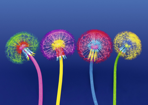 Preview: Alster-Karte Nr. 83: Natur