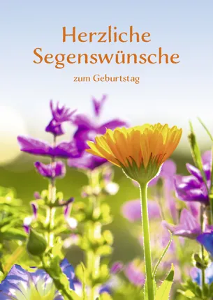 Faltkarte Herzliche Segenswünsche zum Geburtstag (10 St.)