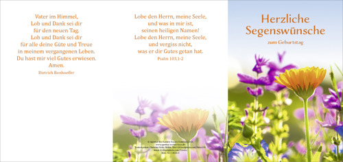 Preview: Faltkarte Herzliche Segenswünsche zum Geburtstag (10 St.)