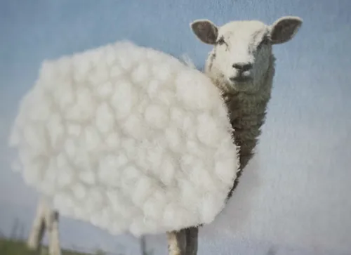 Fühlkarte Psalm 23