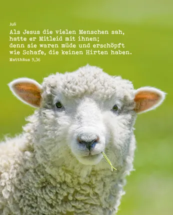 JL 2027 Postermappe Motiv: Glaube