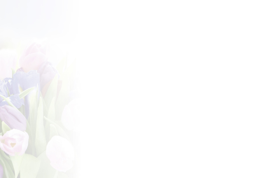 Preview: PC-Karte Herzl. Segensw. z. Geb.(10 St.) Motiv: Geburtstagsstrauß