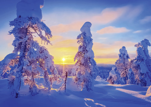 Preview: Viele Farben hat das Jahr 2026