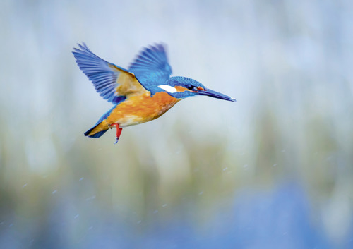 Preview: Viele Farben hat das Jahr 2026