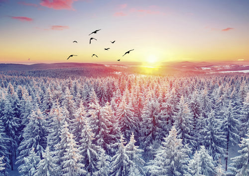 Preview: Viele Farben hat das Jahr 2027