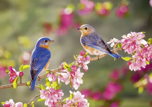 Viele Farben hat das Jahr 2027