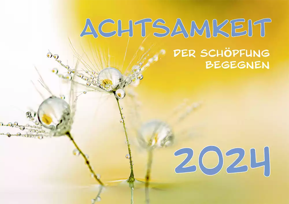 Achtsamkeit 2024