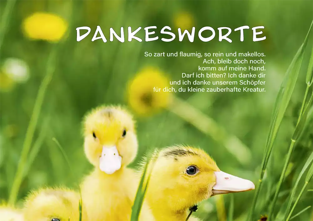 Achtsamkeit 2024