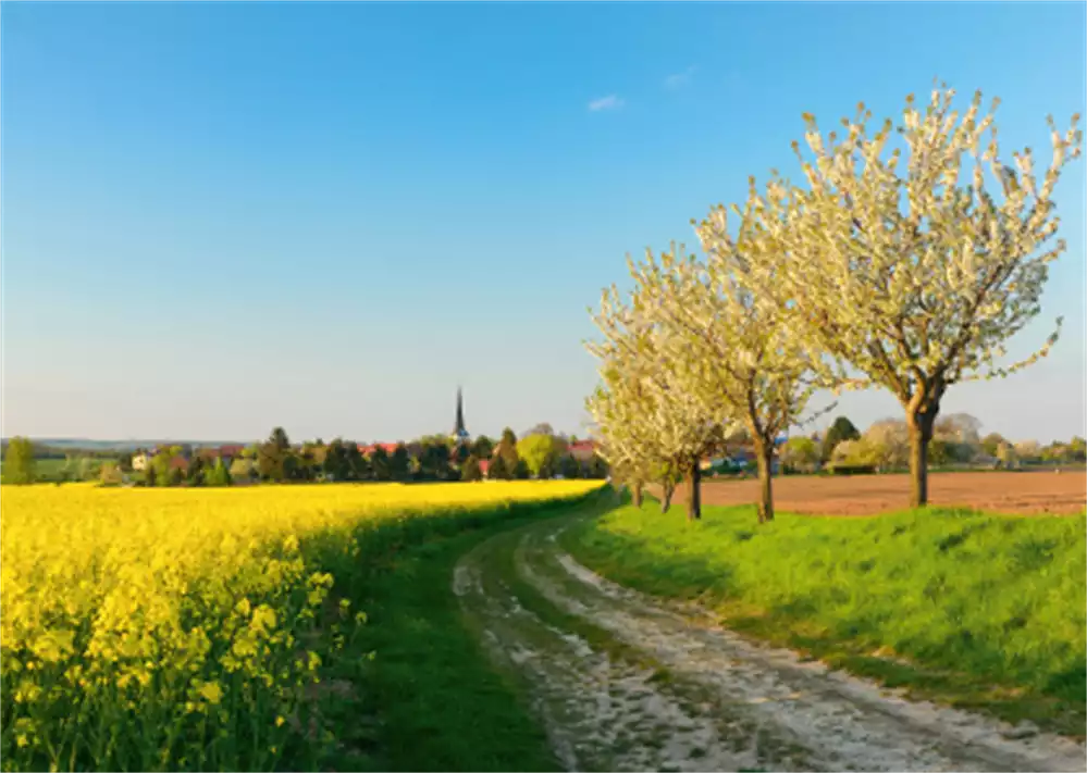 Alster-Karte Nr. 17: Weg Psalm 37,5